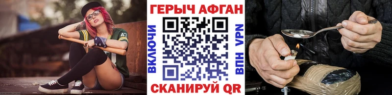 ГЕРОИН хмурый Балтийск