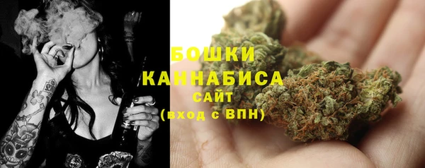эйфоретик Кукмор