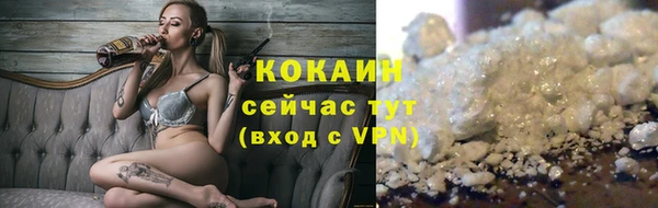 дмт Новозыбков