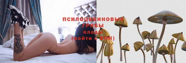 spice Балахна