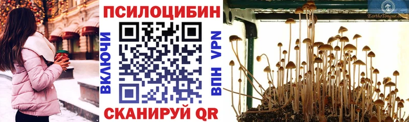 гидра ССЫЛКА  Балтийск  Псилоцибиновые грибы ЛСД  купить  цена 